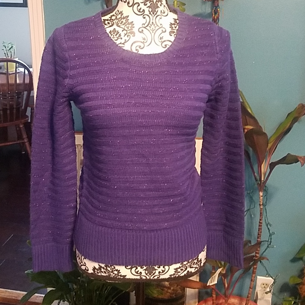 Sparkly Sweater